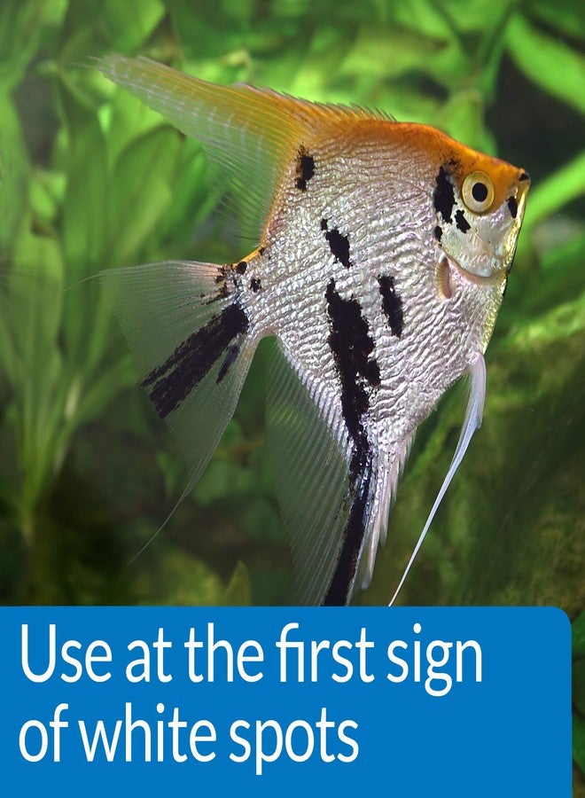 API LIQUID SUPER ICK CURE Fish remedy, Freshwater and Saltwater Fish Medication 4 fl oz(Pack of 1), White - Image 3